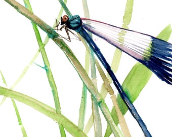 Dragonfly artwork, original watercolor painting