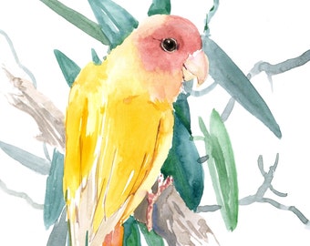 Yellow Lovebird artwork, original watercolor painting, one of a kind parrot wall art