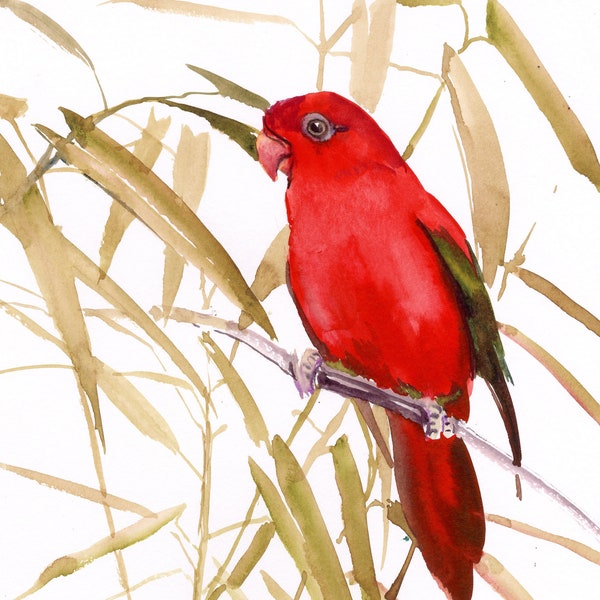 Australian Red Lori Parrot artwork, original watercolor painting