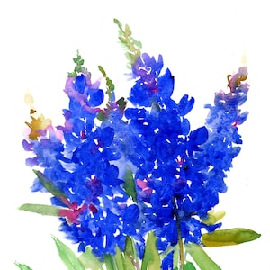 Bluebonnet flowers watercolor painting, original artwork, flowers of Texas wall art
