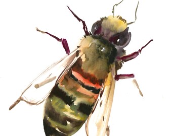 girls-honeybee-asian-stream