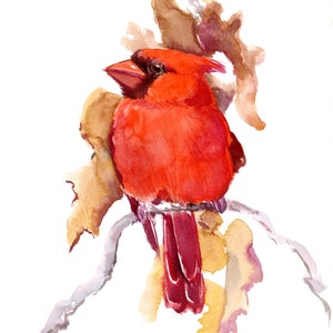 Watercolor Cardinal bird artwork, original, hand-painted wall art