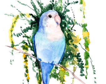 Blue Lovebird and Acacia Tree artwork, original watercolor painting, one of a kind unique home decor parrot wall art