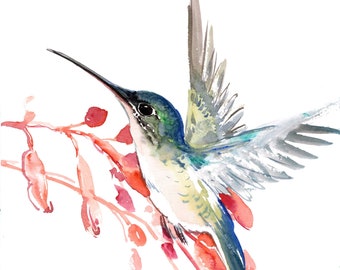 Hummingbird and Flower watercolor artwork, original hand-painted, one-of-a-kind watercolor hummingbird art