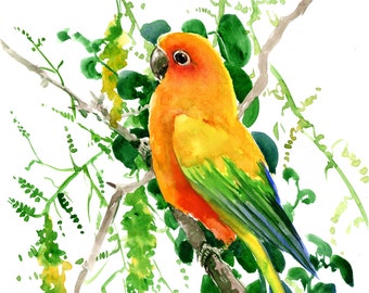Sun Conure Parakeet Parrot artwork, original watercolor painting, bright colored Amazon jungle wall art