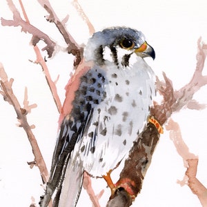 American Kestrel Bird watercolor artwork, original, hand-painted bird wall art image 1