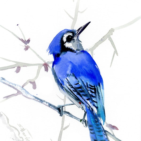 Blue Jay Painting, original watercolor art