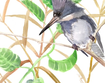 Kingfisher Artwork, original watercolor painting, Belted Kingfisher in the wild