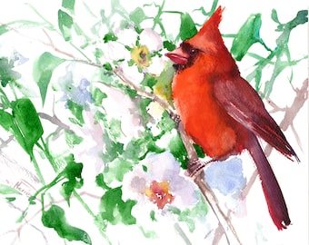 Red Cardinal and Spring blossom, original watercolor painting birds and flowers wall art