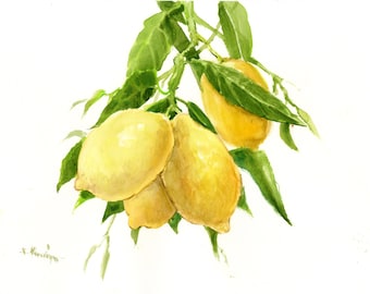 Lemon Tree, an original watercolor painting by artist Suren