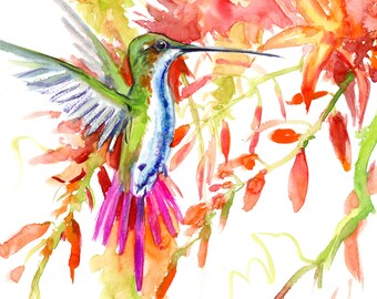 ハチドリの絵画 - 熱帯の色鮮やかな鳥のオリジナルアクリル画 - Etsy 日本