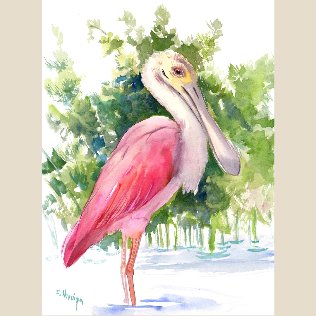Roseate Spoonbill Watercolor Painting, Original Painting by Artist ...