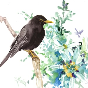 Blackbird and Edelweiss Flower art, an original painting by Suren