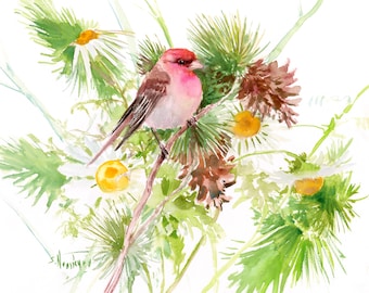 Watercolor Bird artwork, original painting, Rosefinch in the wild, hand-painted birds and flowers art