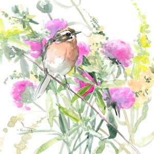 Obra de arte de aves en acuarela Pájaro tarabilla norteña y flores de pradera, pintura original y única
