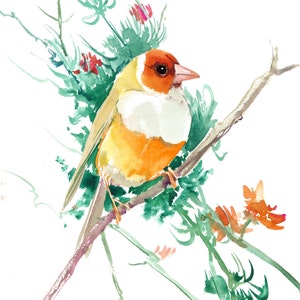 Gouldian Finch on a Branch - Original Watercolor Painting