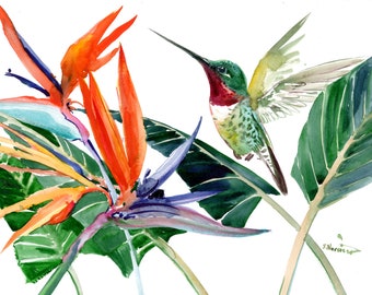 Hummingbird and Birds of Paradise Flowers, original watercolor artwork
