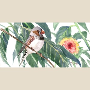 watercolor bird art, an original zebra finch painting by artist Suren