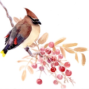 Waxwing and Berries original watercolor painting