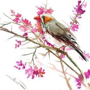 Zebra finch bird and Flowers, watercolor wall art