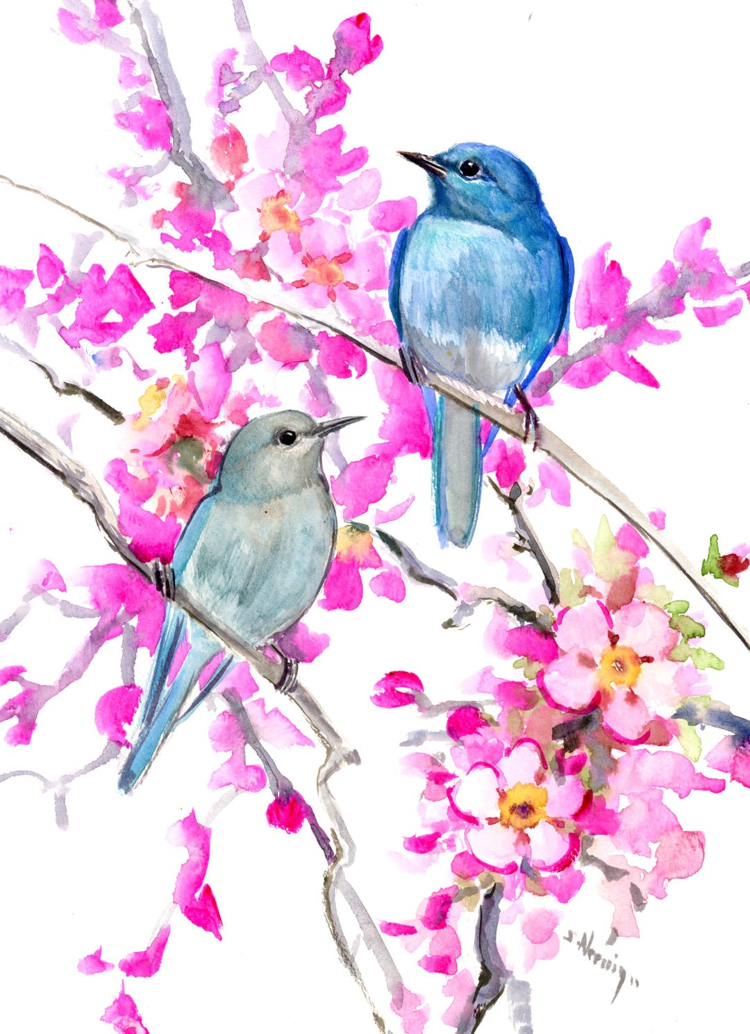 Mountain Bluebirds in the Spring, Original Watercolor Painting - Etsy