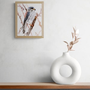 American Kestrel Bird watercolor artwork, original, hand-painted bird wall art image 2