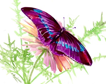 Watercolor Butterfly art, an original painting by artist Suren