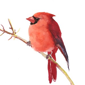 Red Cardinal Bird watercolor artwork, original painting, bird lover home decor, wall art
