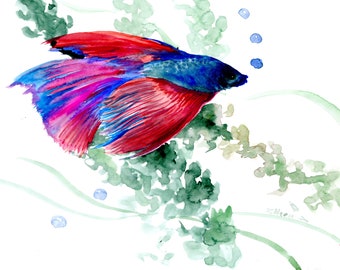 Betta fish watercolor art, an original painting by Suren