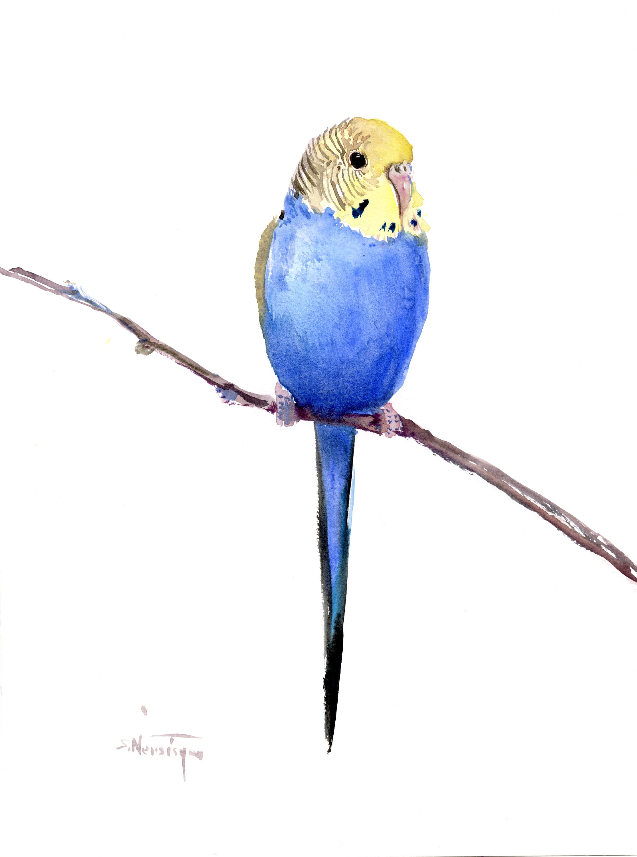 セキセイインコの水彩画、青いオウムのオリジナル絵画、壁装飾、ホーム
