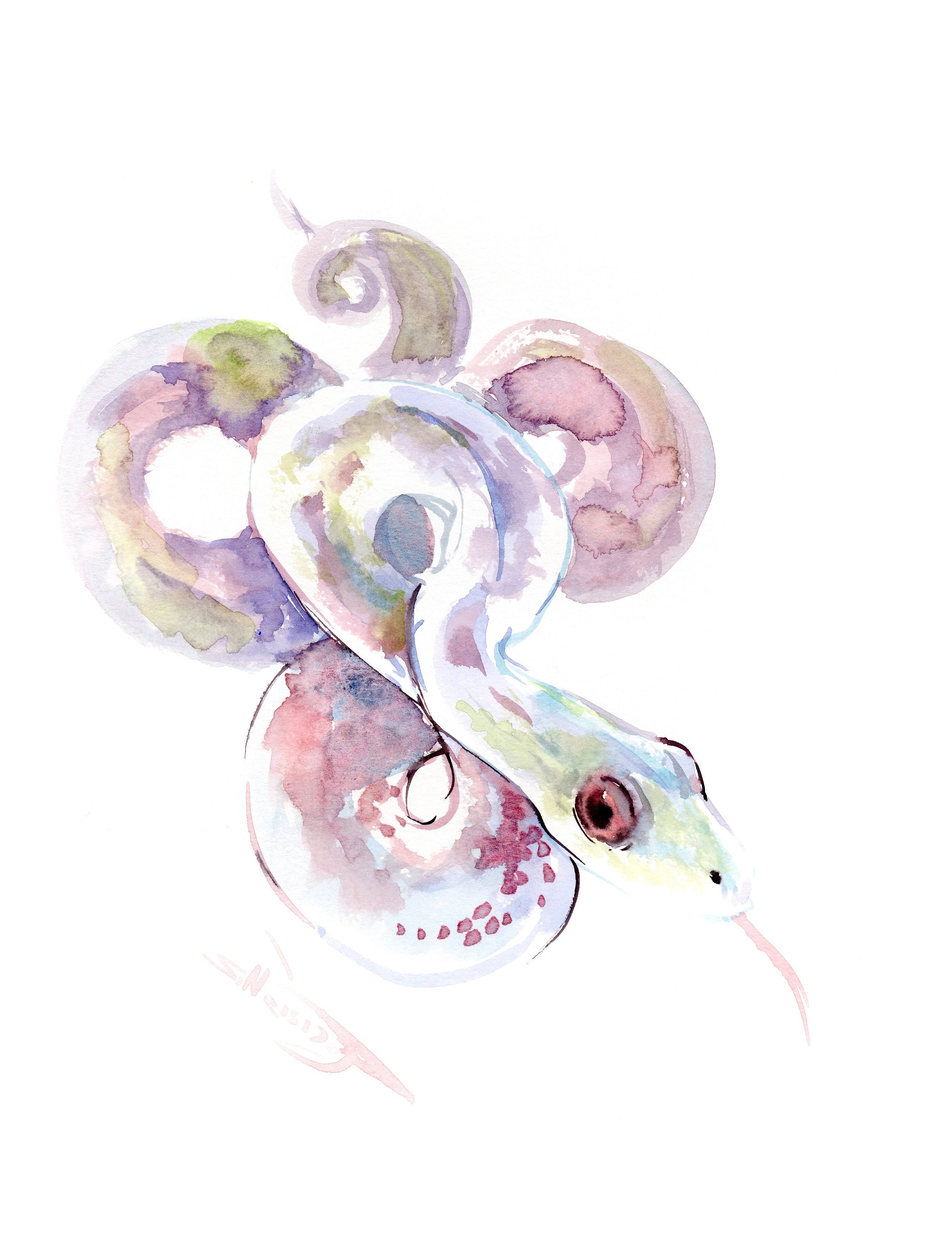 Snake Original Watercolor Painting | Etsy