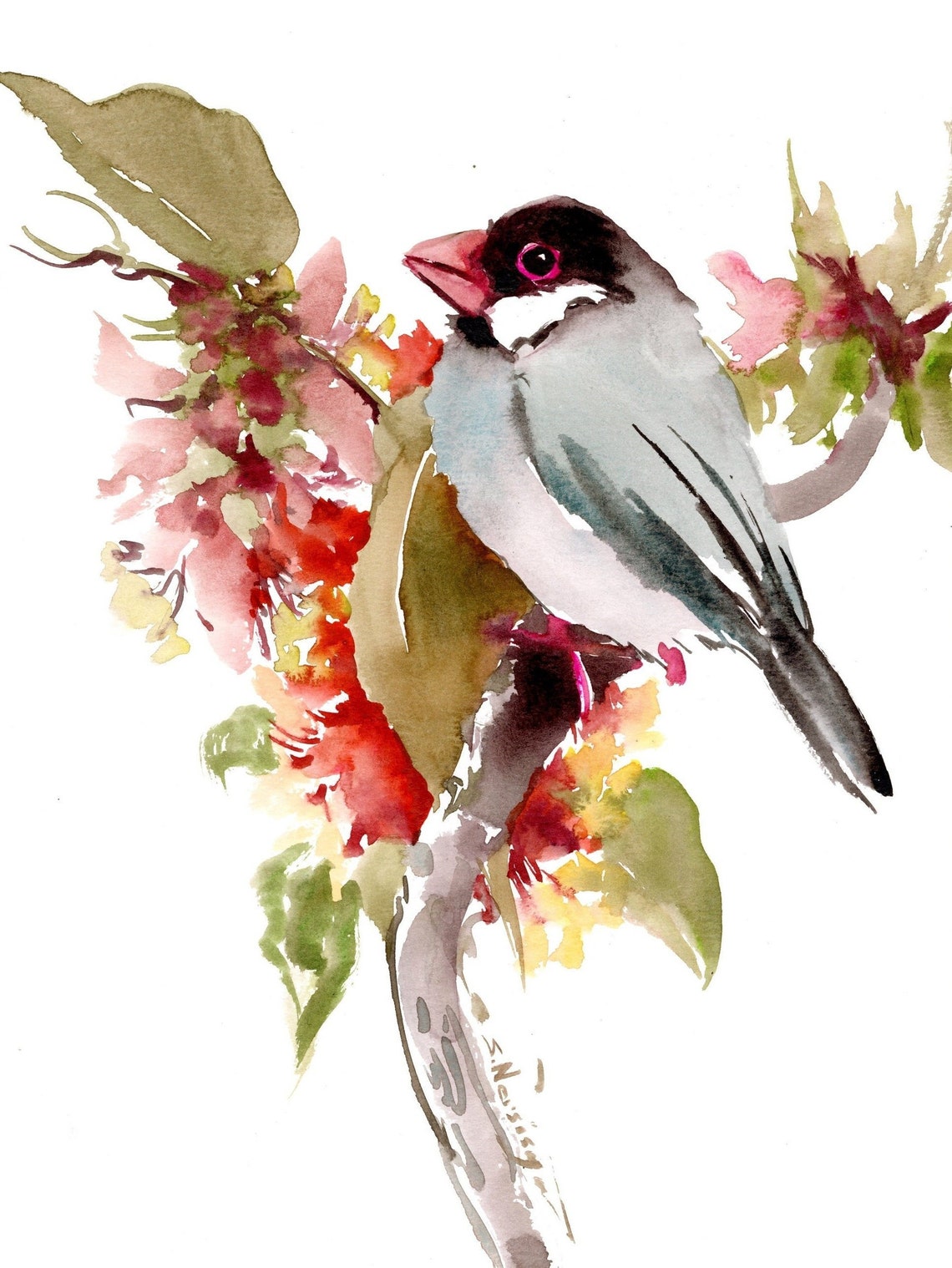 Java Sparrow Bird Watercolor Artwork, Original Painting - Etsy