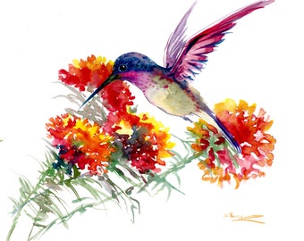 Puede incluir: Pintura acuarela de un colibrí con plumas iridiscentes de color púrpura y verde, flotando cerca de flores naranjas y rojas. Las alas del colibrí están extendidas y su pico se extiende hacia las flores.