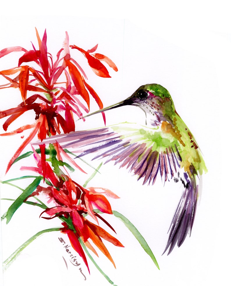 Hummingbird Original Watercolor art