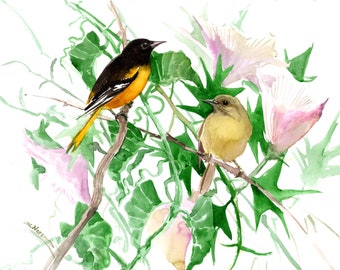Baltimore Oriole BIrds and Flowers, original watercolor handpainted artwork, Baltimore oriole bird painting