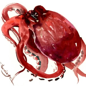 Octopus watercolor artwork, original painting