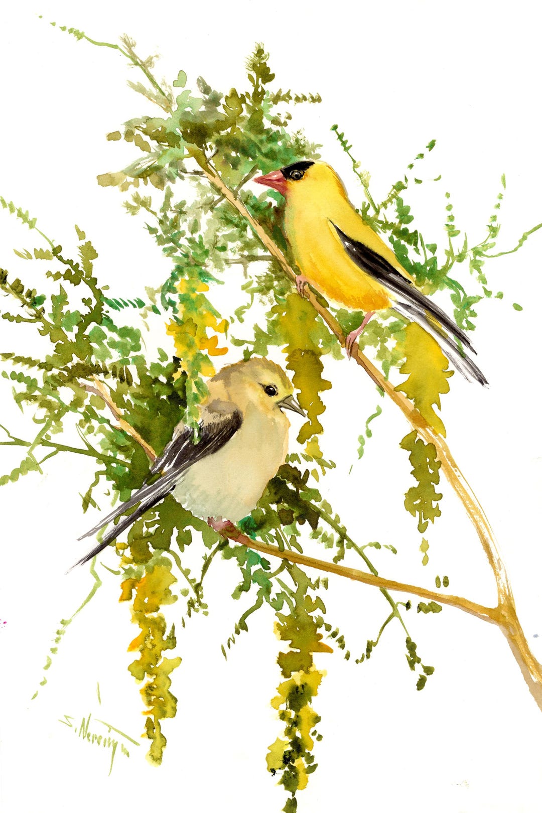 American Goldfinch Watercolor Artwork, an Original Painting by Artist ...