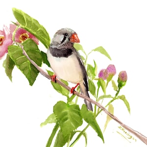 Watercolor bird, Zebra Finch, an original painting by artist Suren