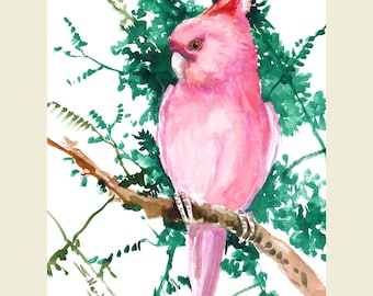 Obra de arte de uma cacatua, uma pintura original em aquarela do artista Suren.