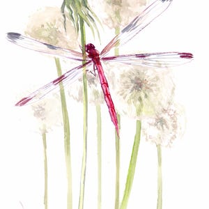 Pink Dragonfly and Dandelions, an Original watercolor painting by artist Suren