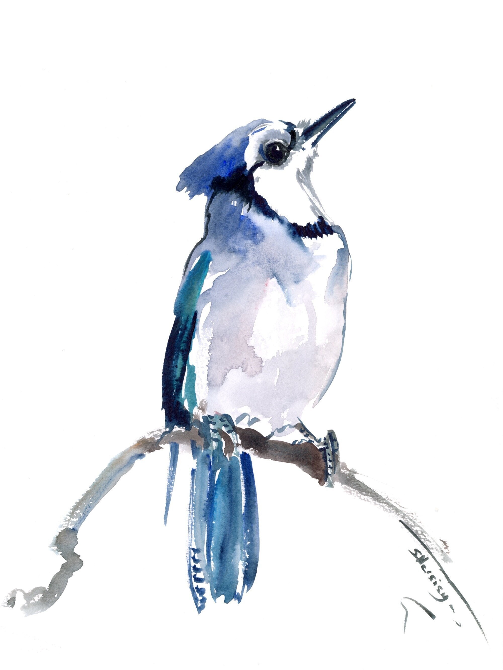 Blue Jay Bird Original Watercolor Painting Blue Jay Artwork Etsy 日本