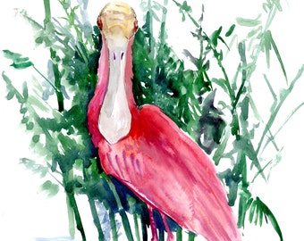 Roseate Spoonbill Watercolor Painting