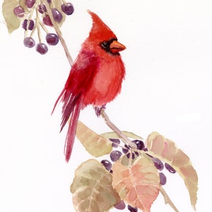 Watercolor Cardinal Bird artwork original painting, Northern Cardinal in the Fall