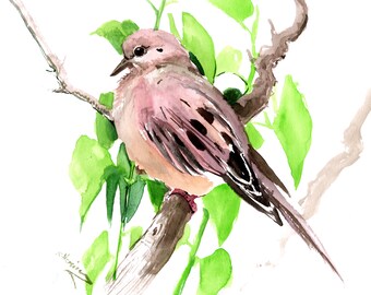 Mourning Dove artwork, original, hand-painted watercolor painting