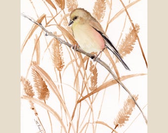 American Goldfinch, Female. An original watercolor artwork by artist Suren