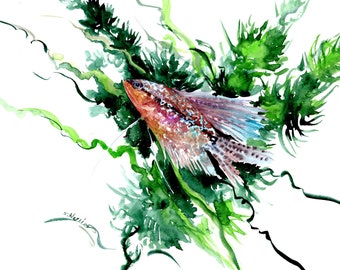 Perle Gourami im Aquarium Kunstwerk, original Aquarellmalerei