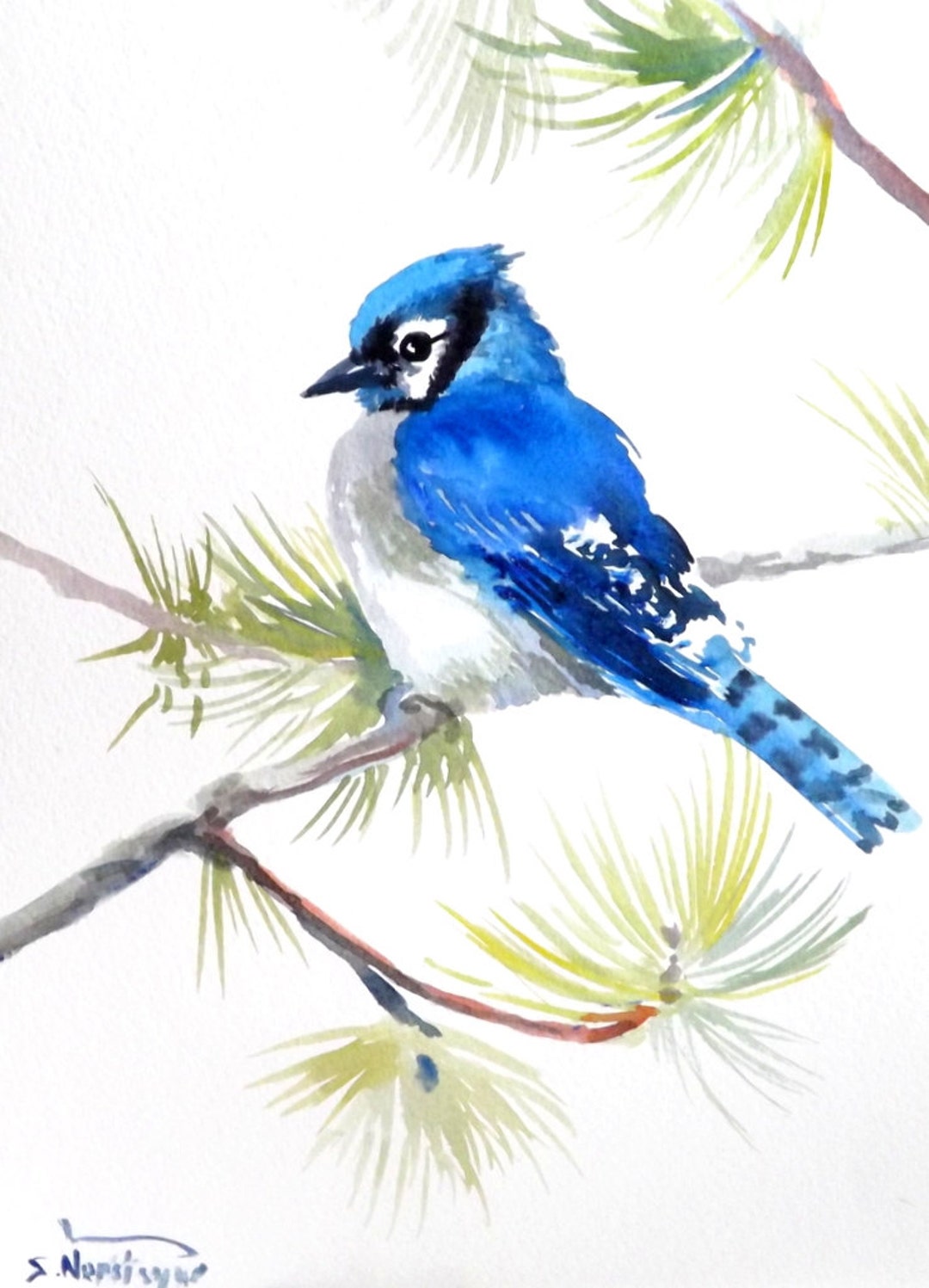 Watercolor Blue Jay  Watercolor Bird Tutorial 