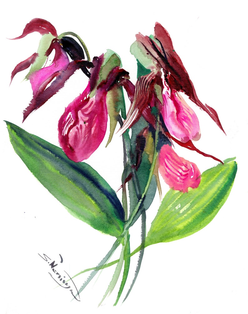 Pink lady slipper Flowers Original watercolor painting | Etsy