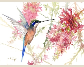 Puede incluir: Pintura a la acuarela de un colibrí en vuelo, acercándose a flores rosas y rojas. El ave tiene un pico largo, plumas azules, verdes y marrones, y alas extendidas. La obra de arte está sobre un fondo blanco.