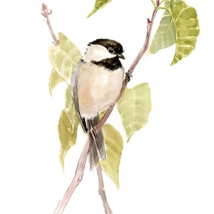 Chickadee watercolor painting, original, hand-painted, one-of-a-kind bird artwork